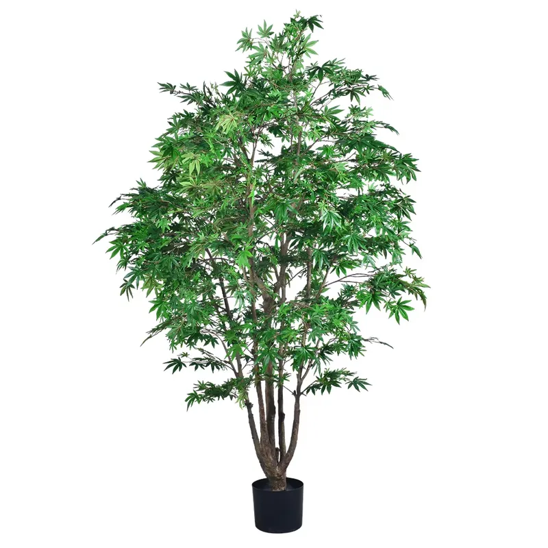 Dracaena Marginata - ต้นเมเปิ้ลสีเขียวปลอมแบบขายส่ง กำลังเป็นที่นิยม หลายลำต้น สูง 250 ซม.