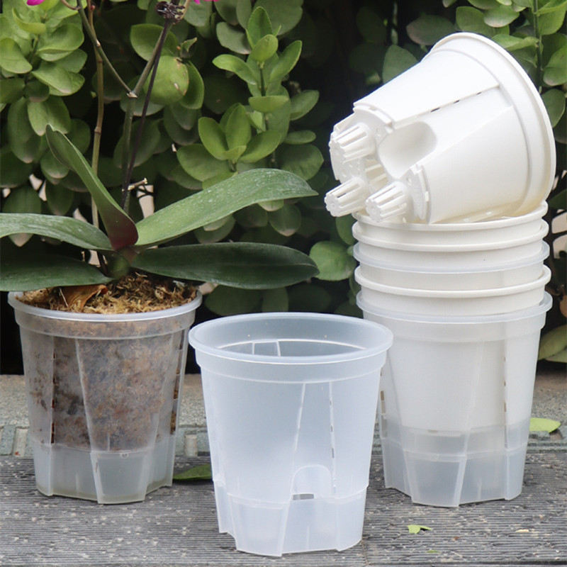 Aloe Vera Pot - 5 ชิ้นโปร่งใส Orchid หม้อหลุม Root Control