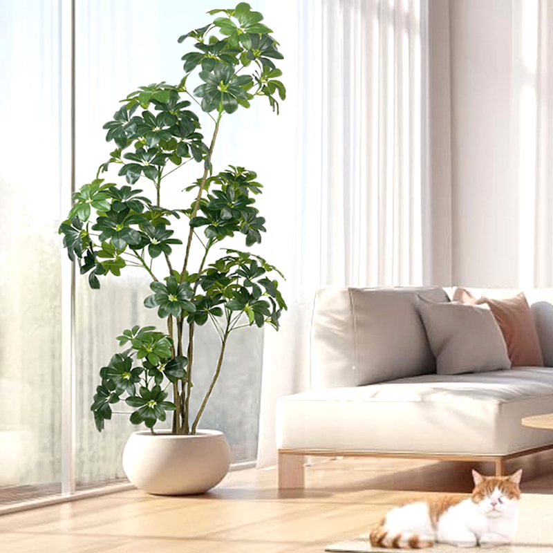 74in Tropical Tree ขนาดใหญ่ประ - Dracaena Marginata บทวิจารณ์และราคา