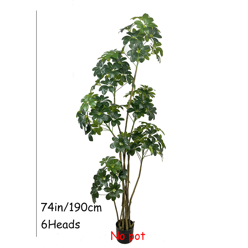 74in Tropical Tree ขนาดใหญ่ประ - Dracaena Marginata บทวิจารณ์และราคา