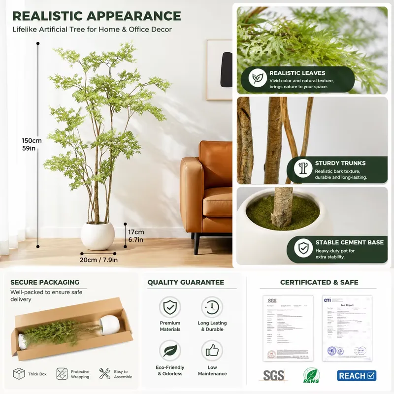ต้นเมเปิ้ลญี่ปุ่นประดิษฐ์ในกระ - Dracaena Marginata บทวิจารณ์และราคา