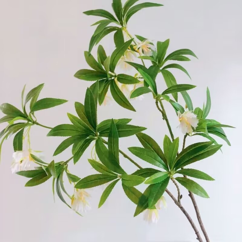 35.43 นิ้วหินน้ําประดิษฐ์ Bany - Dracaena Marginata บทวิจารณ์และราคา