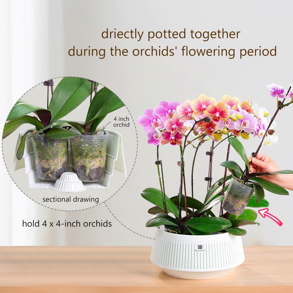 กระถางกล้วยไม้แบบตาข่ายพร้อมรู - Aloe Vera Pot บทวิจารณ์และราคา