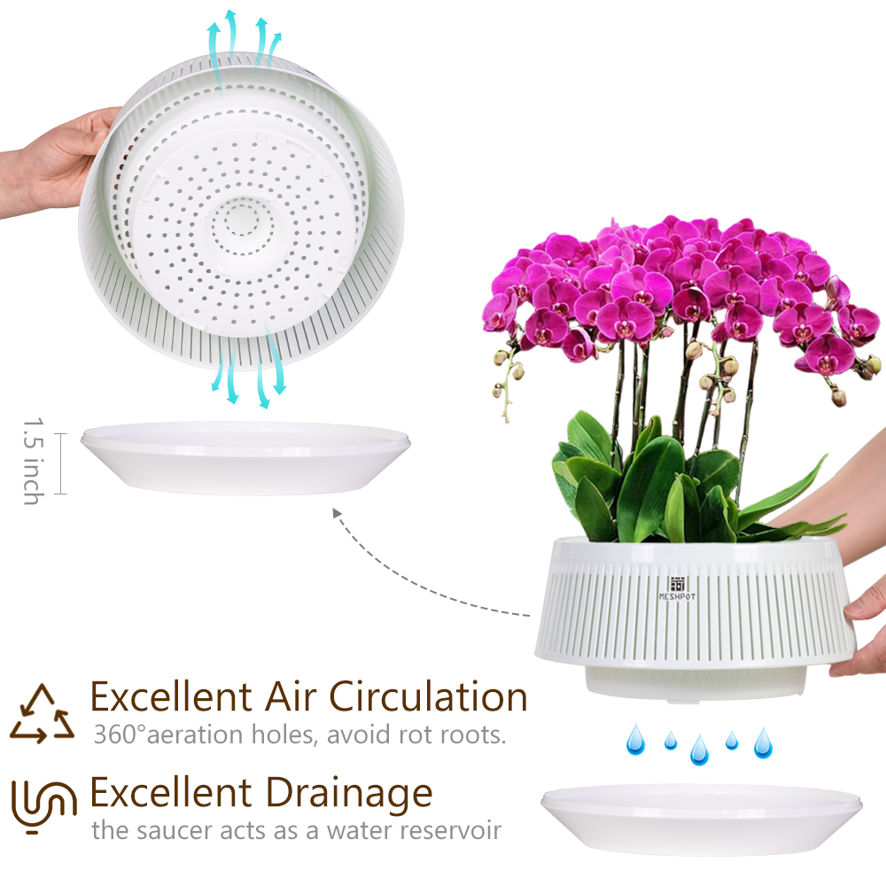 กระถางกล้วยไม้แบบตาข่ายพร้อมรู - Aloe Vera Pot บทวิจารณ์และราคา