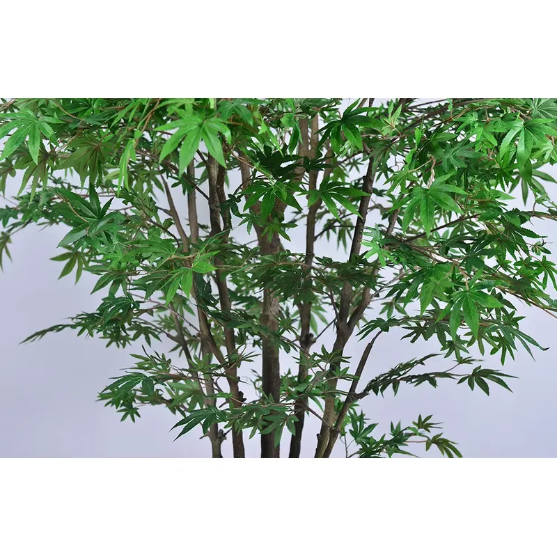 ต้นเมเปิ้ลสีเขียวปลอมแบบขายส่ง - Dracaena Marginata บทวิจารณ์และราคา