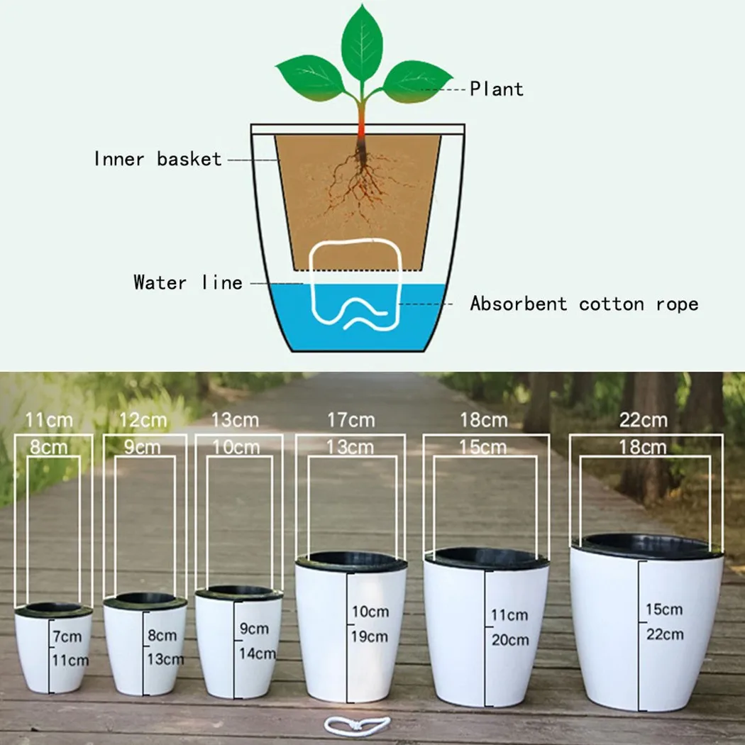Lazy ดอกไม้หม้อรดน้ำกระถางดอกไ - Aloe Vera Pot บทวิจารณ์และราคา