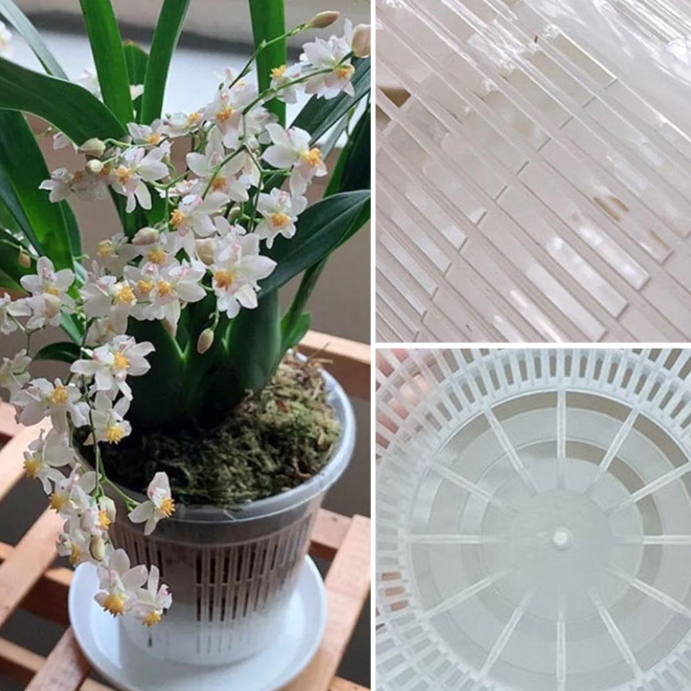 กระถางตาข่ายควบคุมราก โปร่งใส  - Aloe Vera Pot บทวิจารณ์และราคา