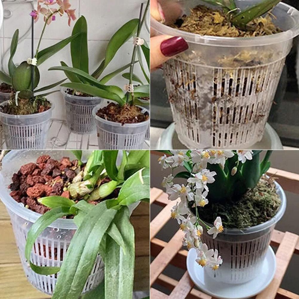 กระถางตาข่ายควบคุมราก โปร่งใส  - Aloe Vera Pot บทวิจารณ์และราคา