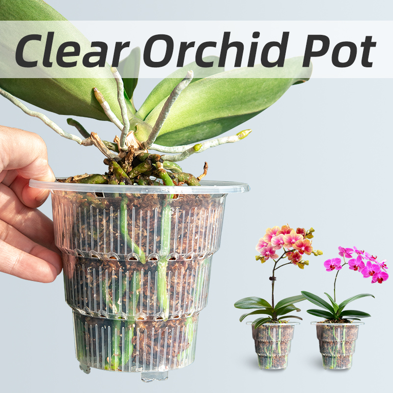 Meshpot หม้อกล้วยไม้พลาสติกใสพ - Aloe Vera Pot บทวิจารณ์และราคา