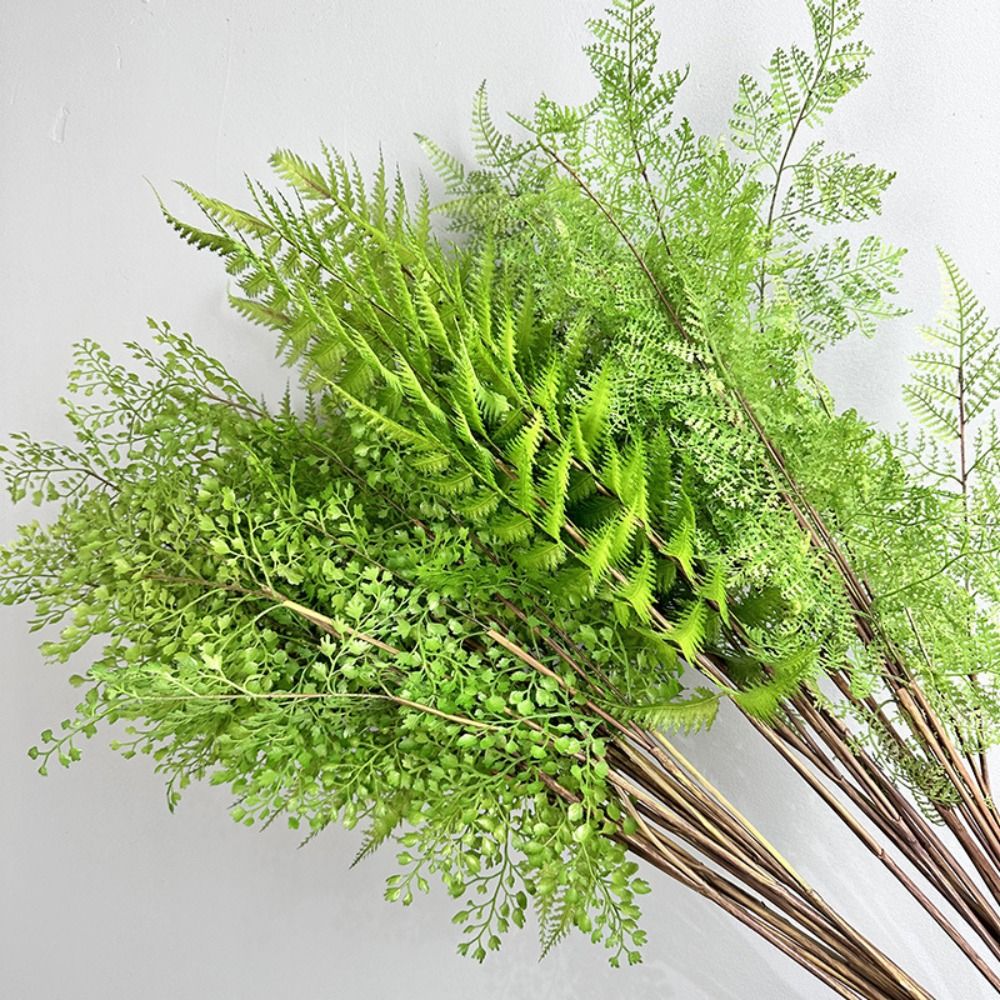 สมจริงประดิษฐ์เฟิร์นพืชสาขา Ha - Dracaena Marginata บทวิจารณ์และราคา