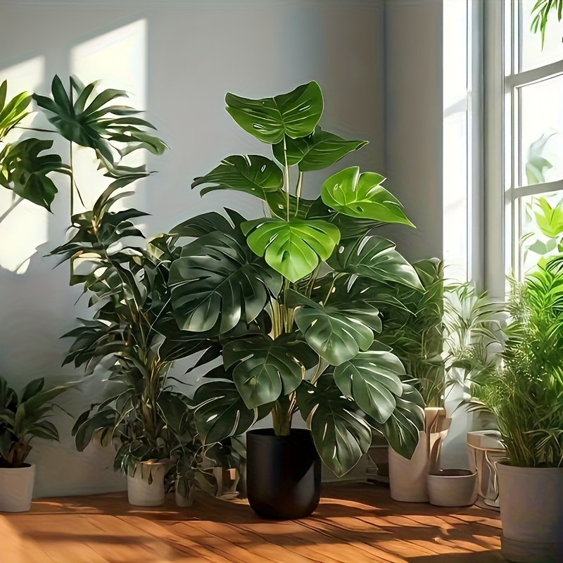 ต้นปาล์มมอนสเตอร่าประดิษฐ์ ต้น - Monstera Adansonii บทวิจารณ์และราคา
