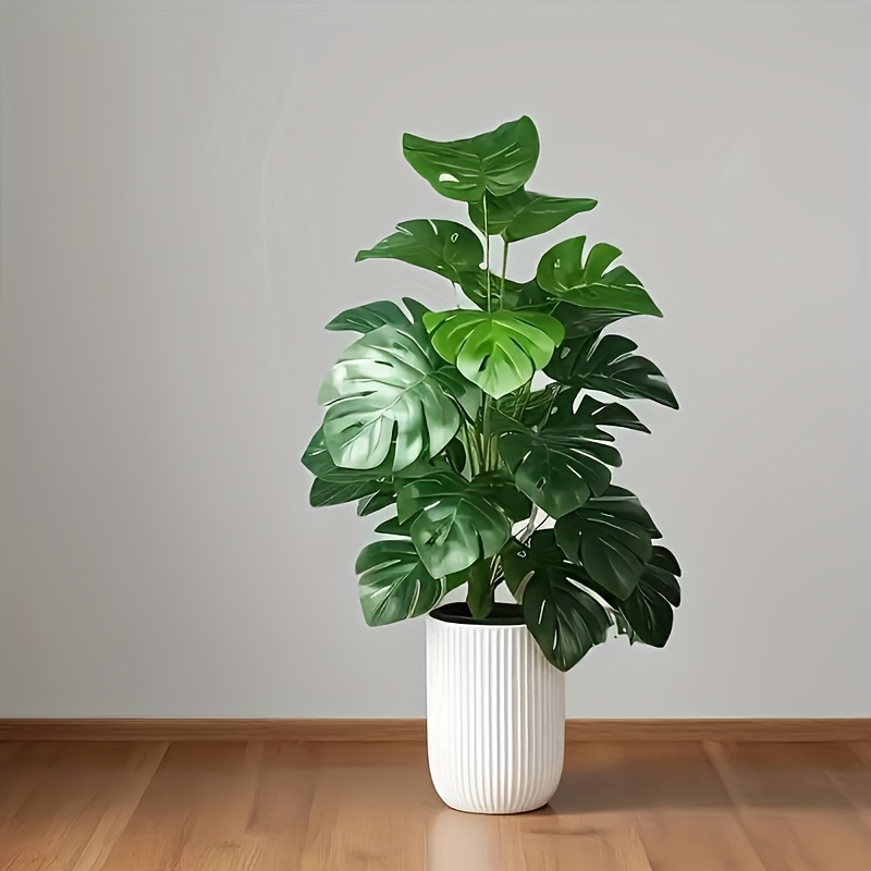 ต้นปาล์มมอนสเตอร่าประดิษฐ์ ต้น - Monstera Adansonii บทวิจารณ์และราคา