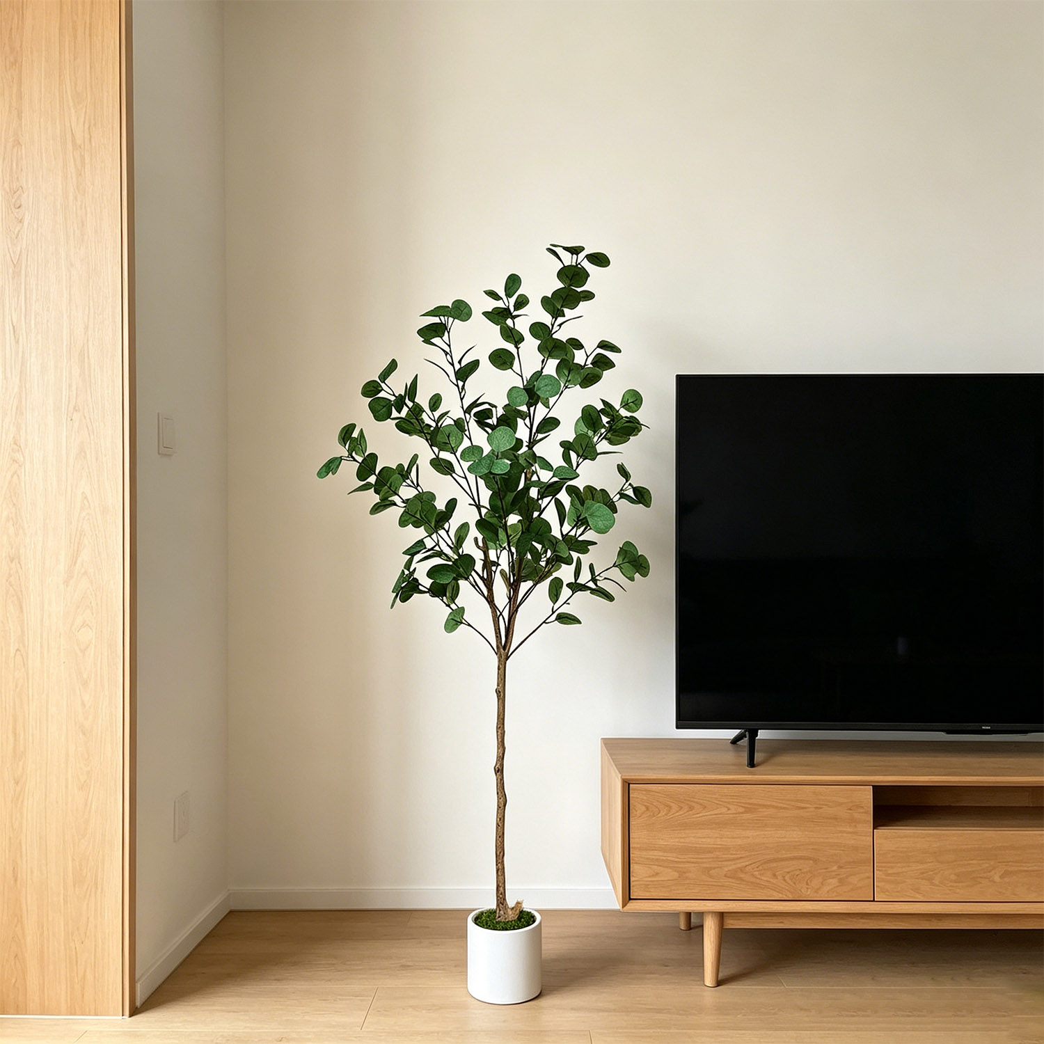 ต้นยูคาลิปตัสประดิษฐ์ขนาด 120- - Dracaena Marginata บทวิจารณ์และราคา