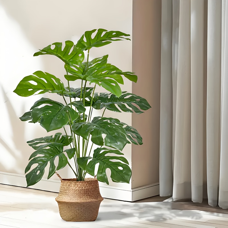 2 ชิ้นสีเขียว 24 ใบพืชปาล์มประ - Monstera Adansonii บทวิจารณ์และราคา