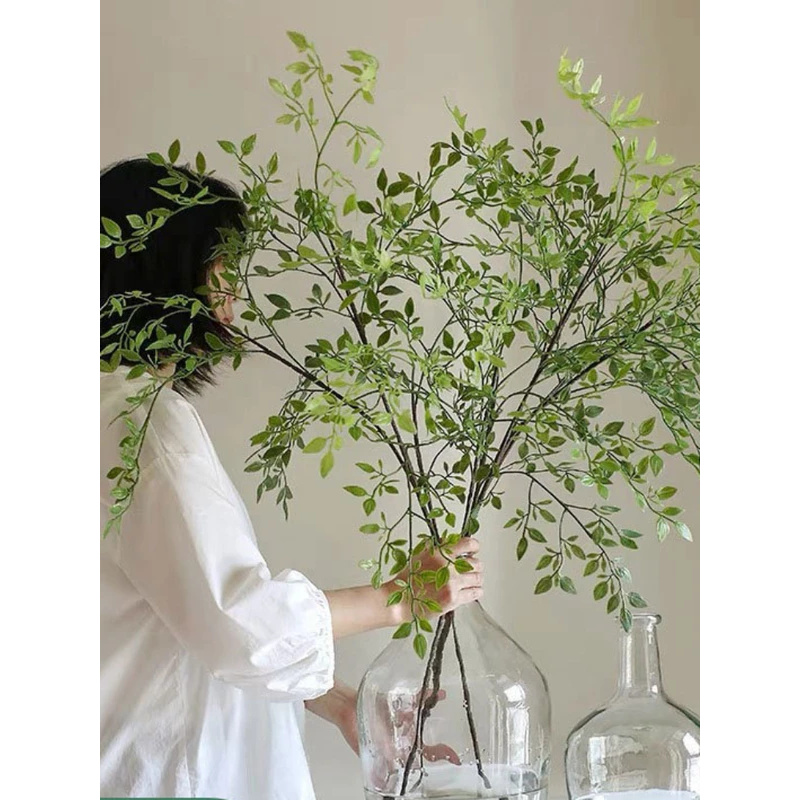 ต้นไม้ประดิษฐ์แบบกิ่งเดี่ยว 3  - Dracaena Marginata บทวิจารณ์และราคา