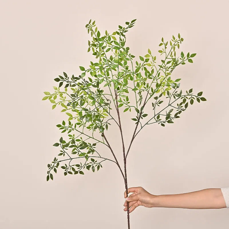 ต้นไม้ประดิษฐ์แบบกิ่งเดี่ยว 3  - Dracaena Marginata บทวิจารณ์และราคา