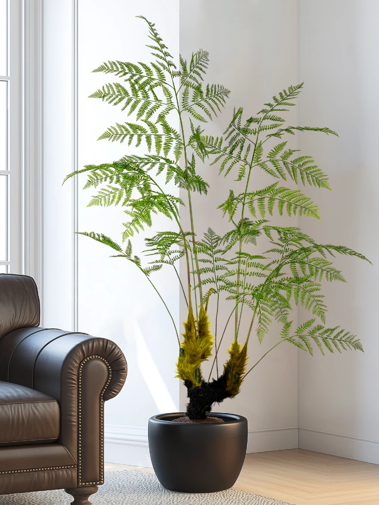 ขนาดใหญ่จําลองลิงทองคําเฟิร์นพ - Dracaena Marginata บทวิจารณ์และราคา