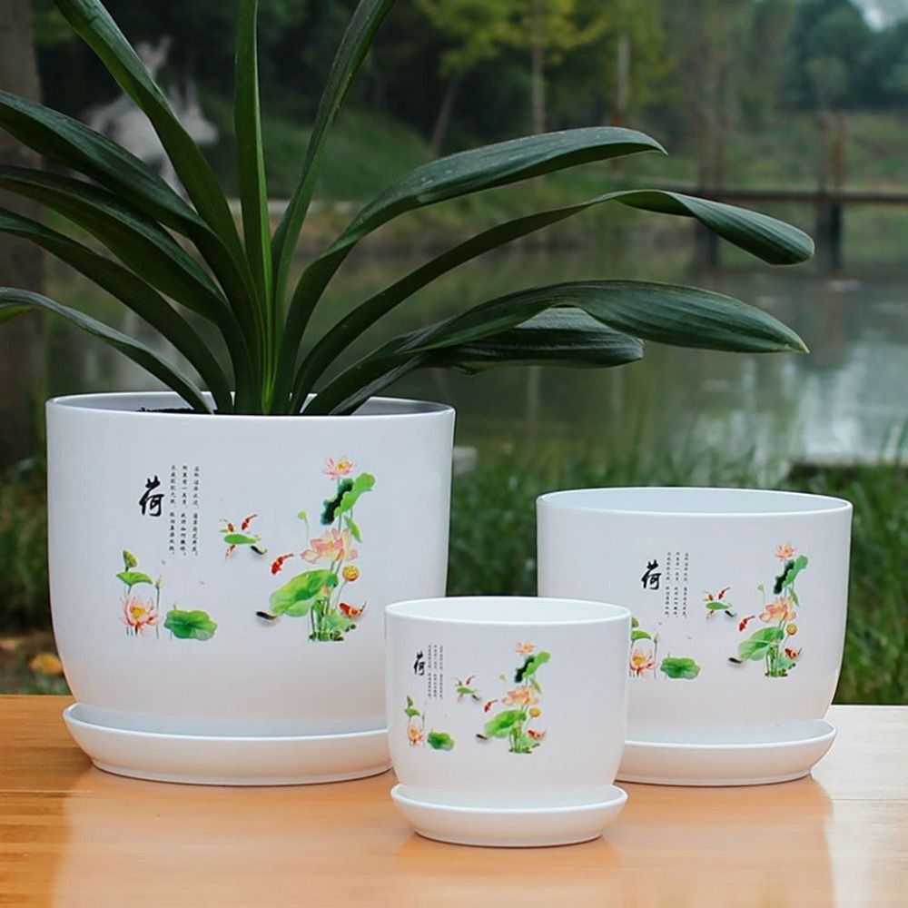 กระถางดอกไม้พลาสติกขนาดใหญ่พิเ - Aloe Vera Pot บทวิจารณ์และราคา