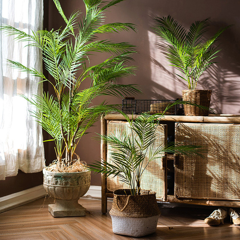 ต้นปาล์มประดิษฐ์ขนาดใหญ่ 125 ซ - Dracaena Marginata บทวิจารณ์และราคา