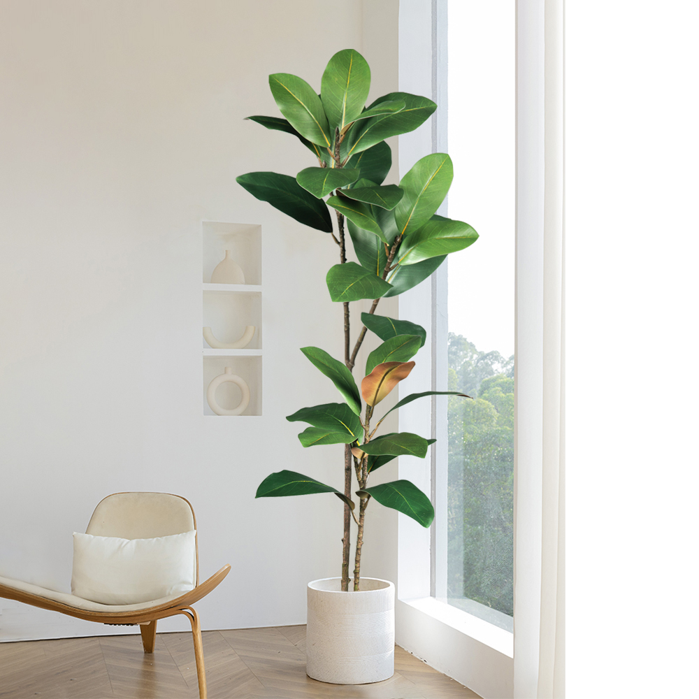 ต้นแมกโนเลียประดิษฐ์สูง 55-110 - Dracaena Marginata บทวิจารณ์และราคา